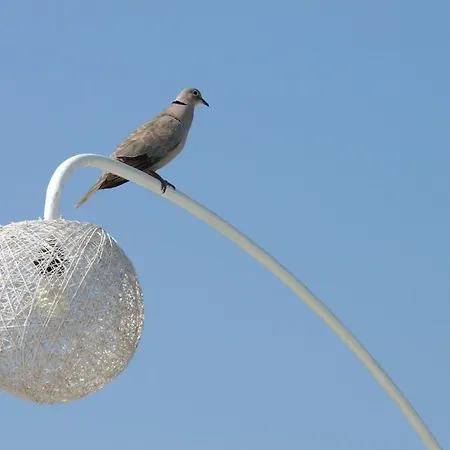 Berg ホテル グムベット