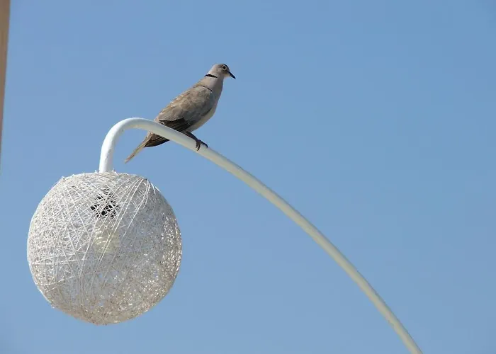 Berg Отель Гумбет